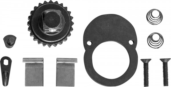 T04250-RK Ремонтный комплект для динамометрического ключа Т04M250  048493